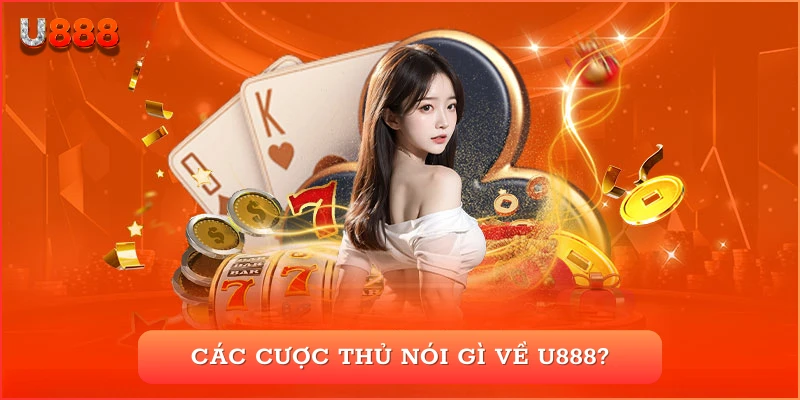 Các cược thủ nói gì về U888