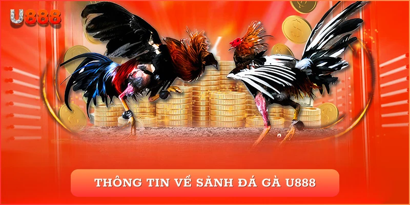 Thông tin về sảnh đá gà U888